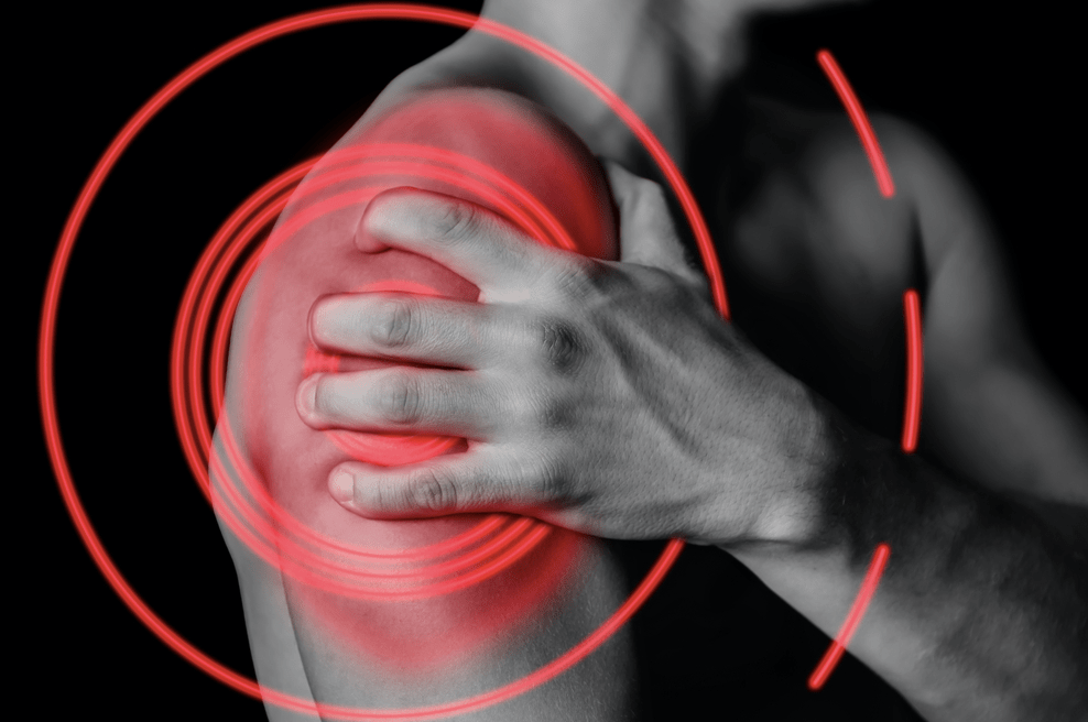 rotator cuff