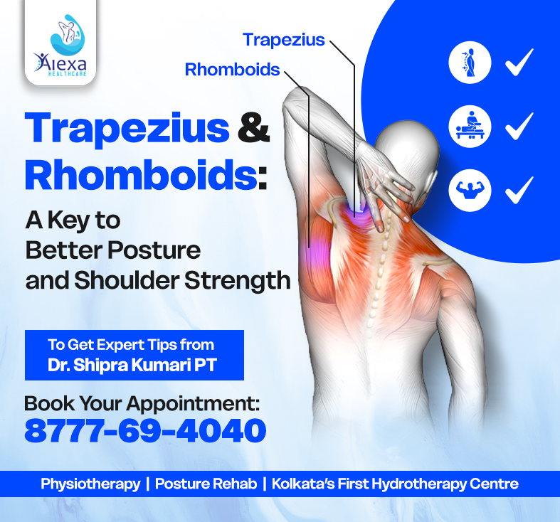 Understanding the Trapezius and Rhomboid Muscles A Key to Better Posture and Shoulder Health